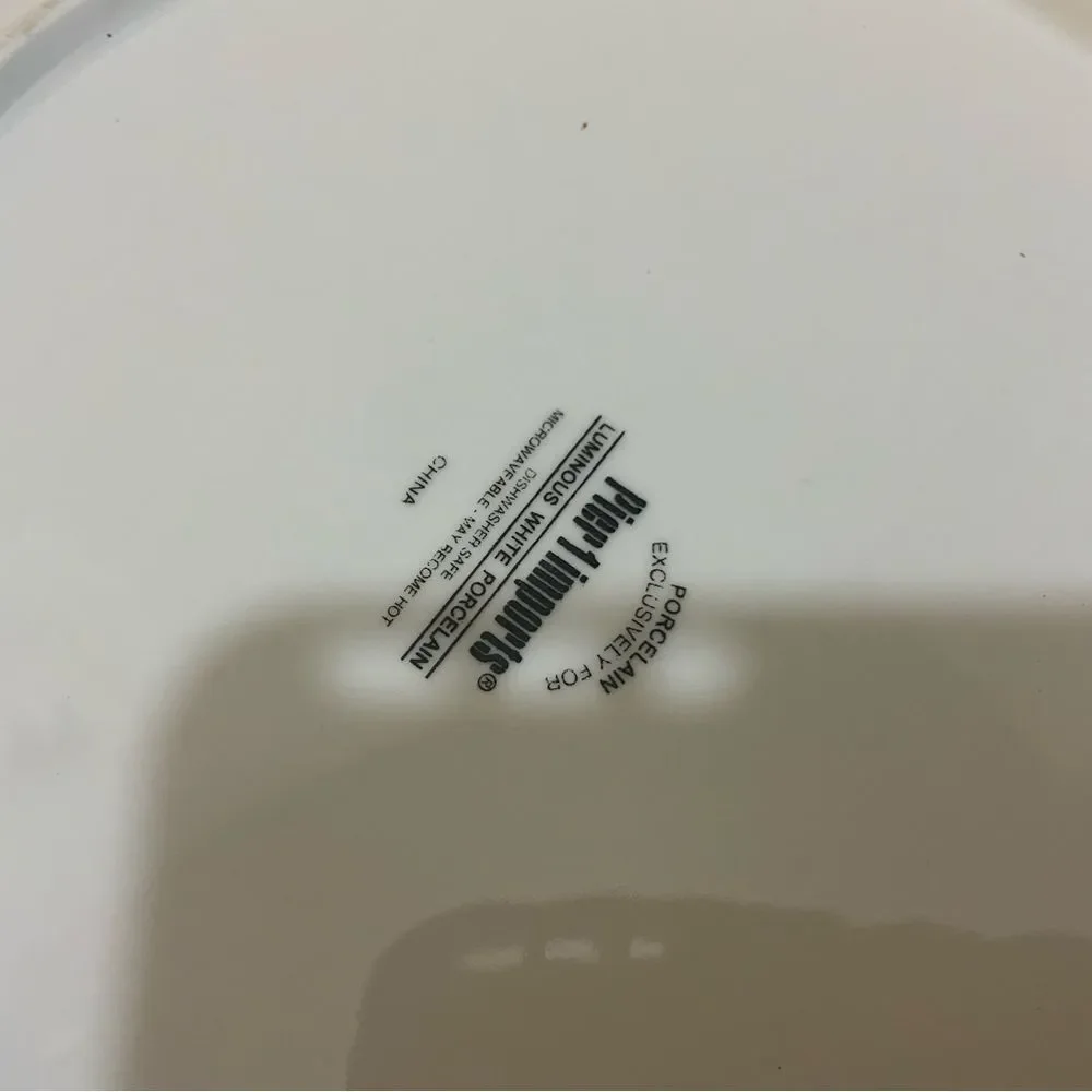 Pier 1 imports luminous White porcelain dinner Plate 11” (Set of 5) G6